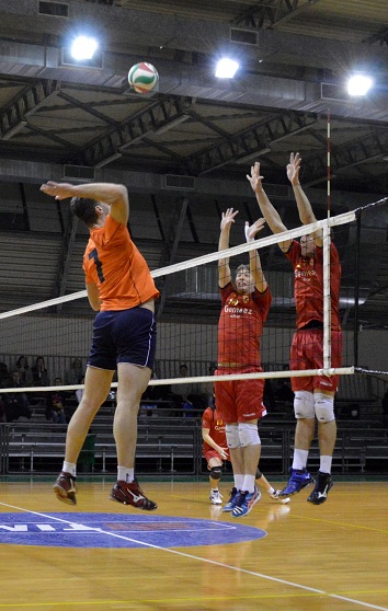 VOLLEY TREVISO   ZANE 212 02 15